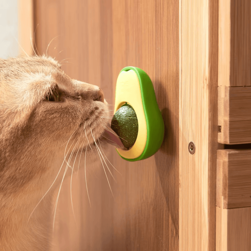 Abacate de Brinquedo com Catnip Natural para Gatos