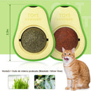 Abacate de Brinquedo com Catnip Natural para Gatos