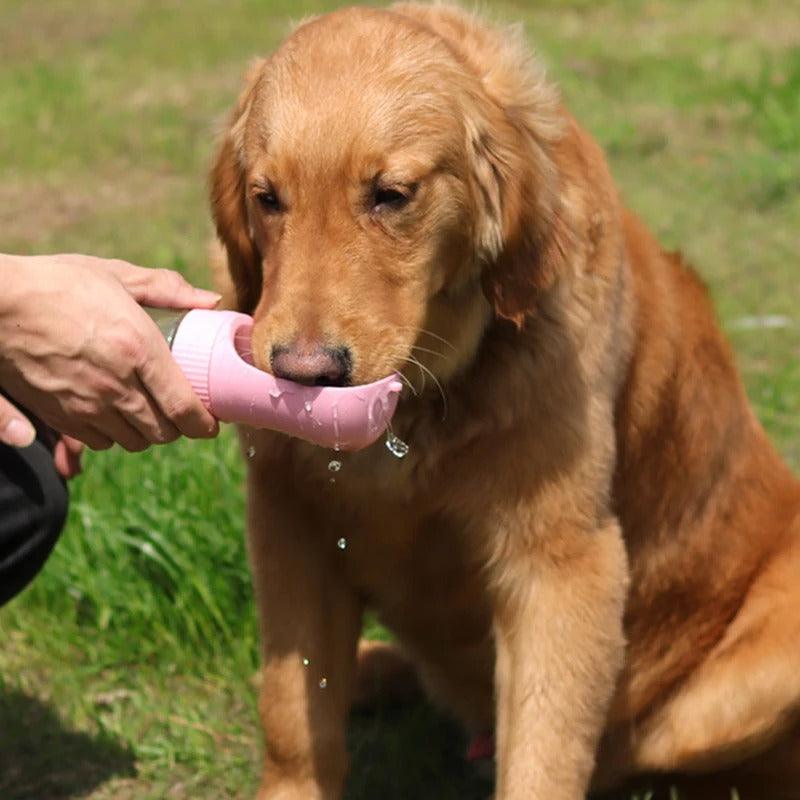 AquaPet 2 em 1 - Garrafa de Água 2 em 1 para Pets